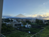 同級に会う 画像2