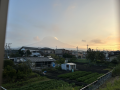 黒はんぺん薄っぺら＆マムシに噛まれる