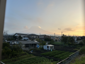 黒はんぺん薄っぺら＆マムシに噛まれる 画像2