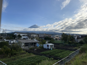 オレンジページに目が行く 画像1