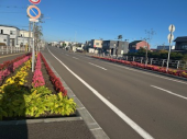 今日で折り返し 画像1