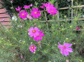my home town♪ 画像2