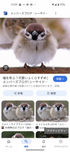 入眠催眠 と 米ぬか 画像2