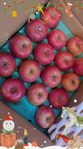 ちょっといい♪ 画像2