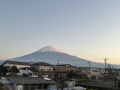 もうじき孫が来る