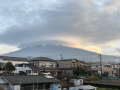 たべない賢明　ネギは失敗