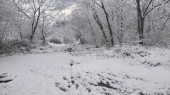 雪だ!!…↓ 画像1