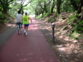 晴れ 久し振りの４万歩 画像2