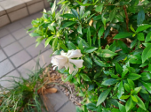 no title 画像2