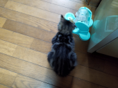 no title 画像2