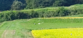 快晴！…→ 画像2