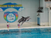 八景島シーパラダイス 画像1