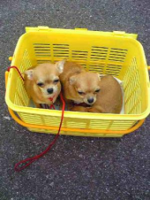 変化ありすぎ～～～～～！ 画像1