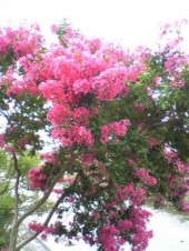久しぶり～ 画像1