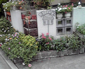 ☆寝坊した！！Σ（￣ロ￣lll) 画像2