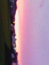 「悲惨な夢」が現実に 画像1