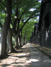 予想通り・・・♪ 画像3