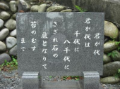 さざれ石 画像2