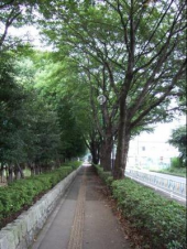 寝坊 画像1