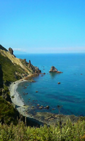 ただいま。です。 画像3