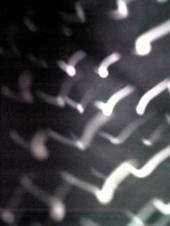 禁ビール８日目 画像3