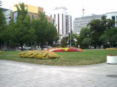 木曜／大通り公園／晴 画像2
