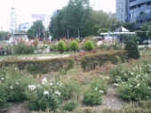 木曜／大通り公園／晴 画像3