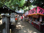 祭りの朝 画像2