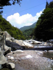 やっぱり、増えてる～ 画像1