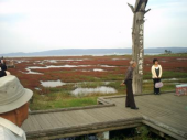 水曜／能取湖のサンゴ草畑／晴 画像3