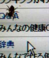 いつもと変わらない日 画像2