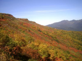 日曜／北海道の紅葉／曇 画像2