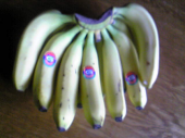 ばなな1房、198円GET!!　 画像1