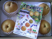 どでかっ！！ 画像1