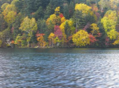 月曜／然別湖の紅葉 画像1