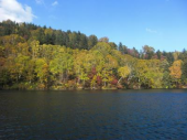 火曜／然別湖の紅葉 画像2