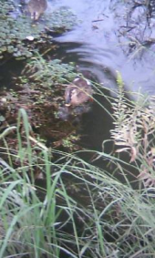 近づいて 画像1