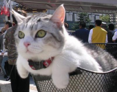 今日は暑かった(^^ゞ 画像1