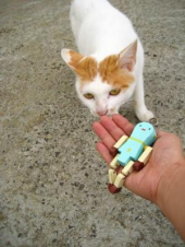 ワケとハギとキンモクセイ。 画像2