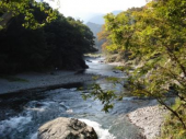 最高記録22756歩 画像1