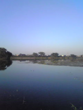 アルコール抜きだと充実の土曜日？ 画像1