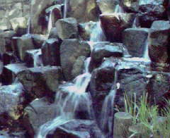 ☆玉川上水ッシュ♪ 画像2