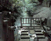 ☆玉川上水ッシュ♪ 画像3