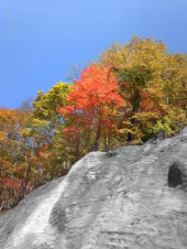 吹き割りの滝 画像2