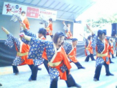 火の国YOSAKOI祭り・・・・ 画像1