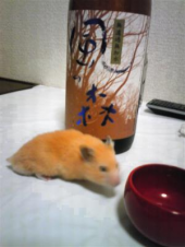 ほげぇ～～ 画像2