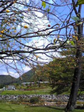 富山に１泊 画像1