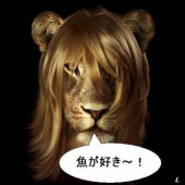 うさうさ脳 画像1