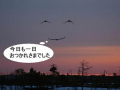 うさうさ脳