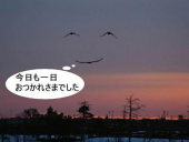 うさうさ脳 画像2